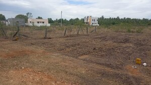 Plot Area in  Plot at Veerapandi – for Sale