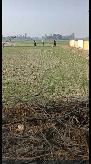  Plot – Garden View at Raebareli Road - for Sale