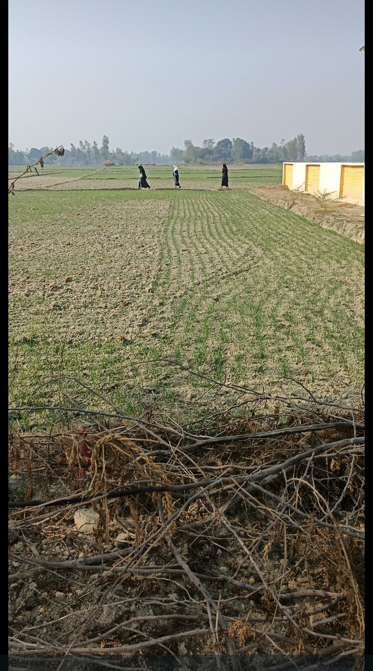 Garden, raebareli road  1000 Sq.Ft. Plot In Raebareli Road Lucknow 9237308