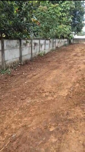 Plot Area in  Land at Marathakkara – for Sale