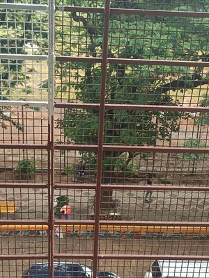 Balcony in 3 BHK Apartment at Shree Chamunda Heights, Matunga West – for Rent