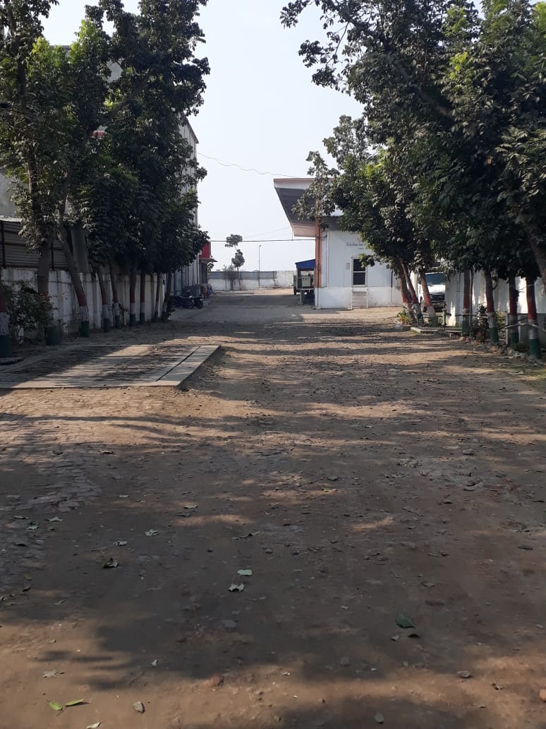 Land For Sale in Bright Property 