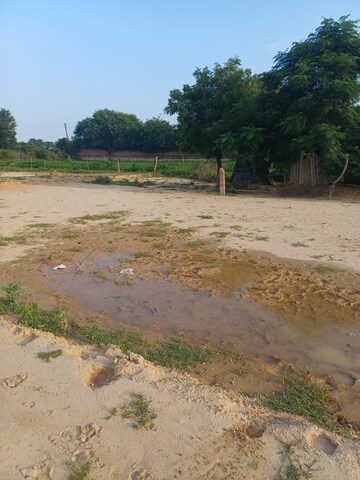  Plot For Sale in Bhopani