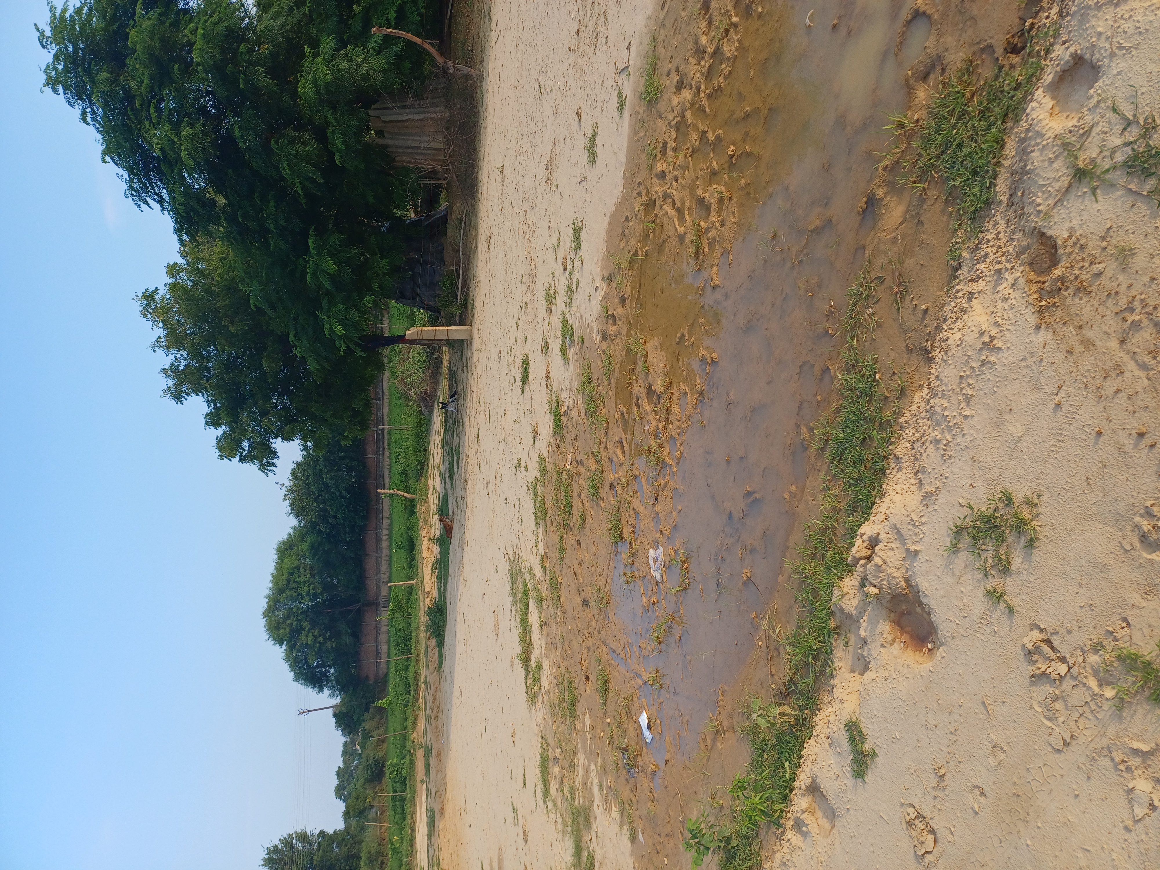 Plot For Sale in Bhopani