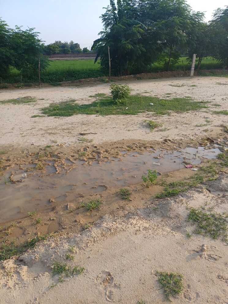 Garden, bhopani  84 Sq.Yd. Plot In Bhopani Faridabad 9238175