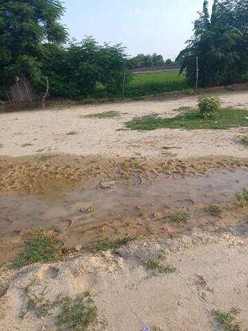  Plot – Exterior View View at Bhopani - for Sale