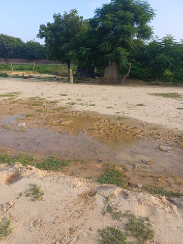  Plot – Exterior View View at Bhopani - for Sale