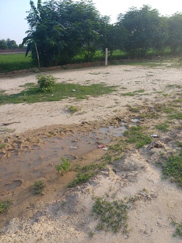 Plot Area in  Plot at Bhopani – for Sale
