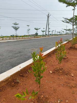  Plot – Exterior View View at Nunna - for Sale