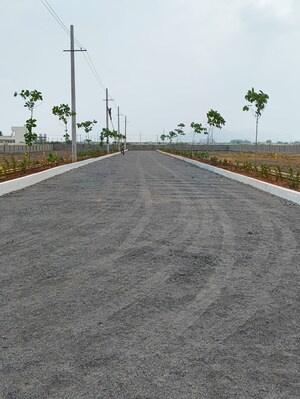 Plot Area in  Plot at Nunna – for Sale