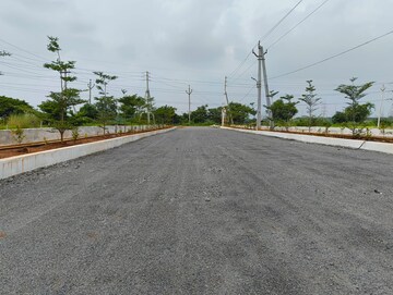 Plot Area in  Plot at Nunna – for Sale
