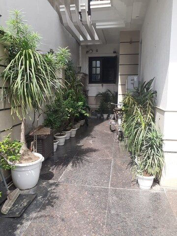 Balcony in 3 BHK Builder Floor at Sushant Lok ii – for Rent