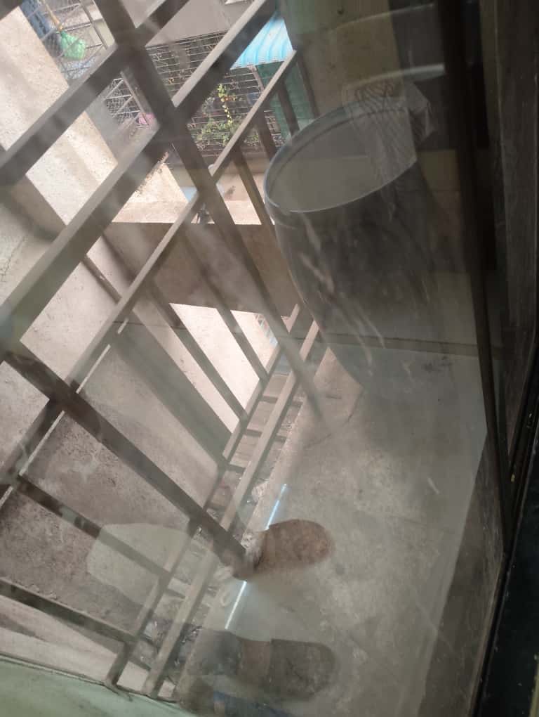 1 Rk  300 Sq.Ft. Apartment in Sai Pearl Ulwe