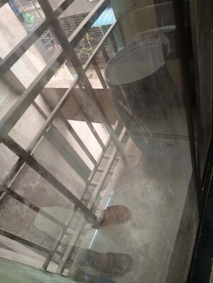 1 RK Apartment For Rent in Sai Pearl Ulwe, Ulwe Sector 19