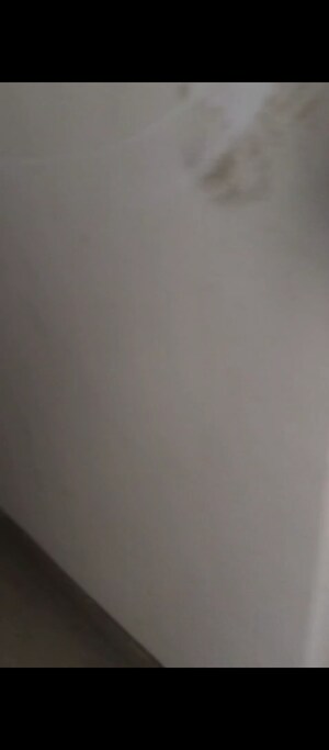 Room in 3 BHK Apartment at Signature Global Golf Greens, Sector 79 – for Rent