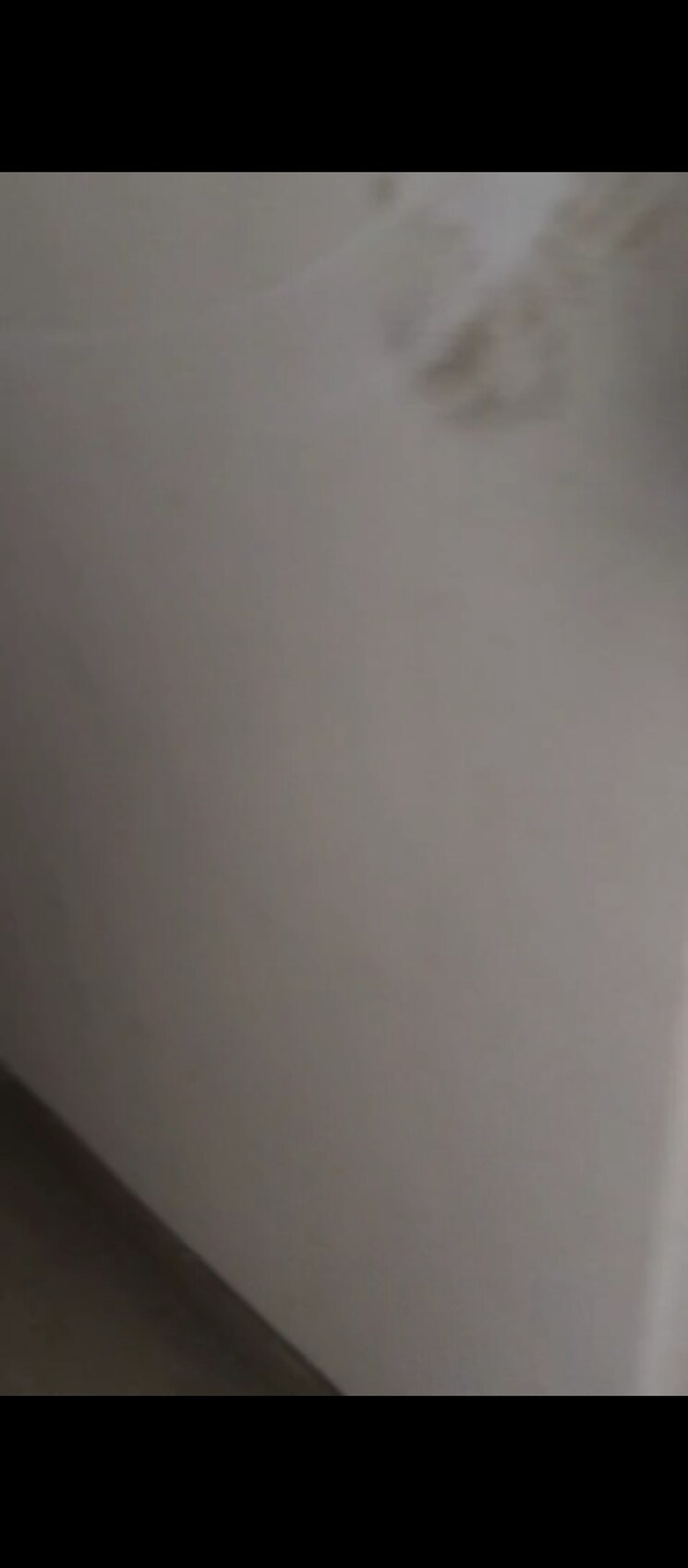 Room, signature-global-golf-greens 3 Bedroom 732 Sq.Ft. Apartment In Sector 79 Gurgaon 9238593