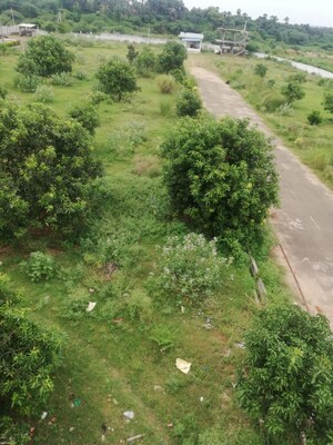  Plot For Sale in Revidi