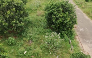 Plot For Sale in Revidi