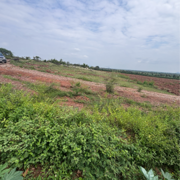 Plot Area in  Land at Vinchipeta – for Sale