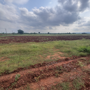 Plot Area in  Land at Vinchipeta – for Sale