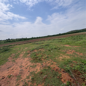 Plot Area in  Land at Vinchipeta – for Sale