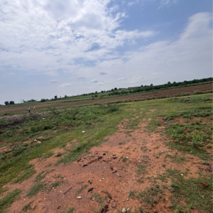  Land For Sale in Vinchipeta