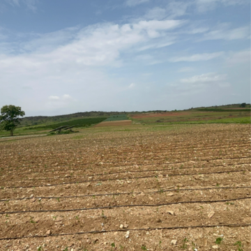 Plot Area in  Land at Vinchipeta – for Sale