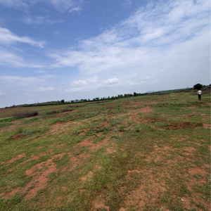 Plot Area in  Land at Vinchipeta – for Sale