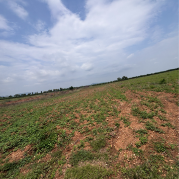 Plot Area in  Land at Vinchipeta – for Sale