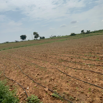 Plot Area in  Land at Vinchipeta – for Sale