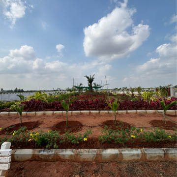 Plot Area in  Plot at Sree City Legend, Kankipadu – for Sale