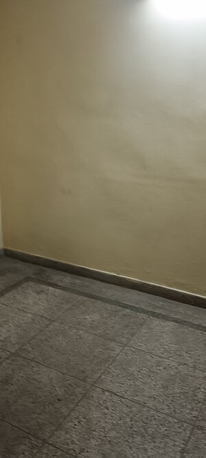 3 BHK Builder Floor For Rent in Sector 29