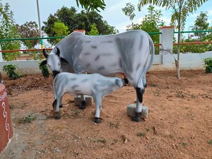  Plot – Exterior View View at Suncity Opal Peace City, Kollur - for Sale