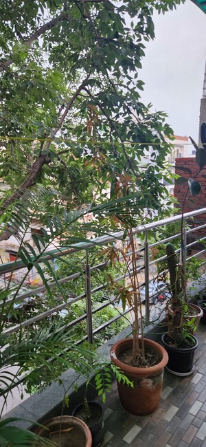 Balcony in 2 BHK Independent House at East Of Kailash – for Rent