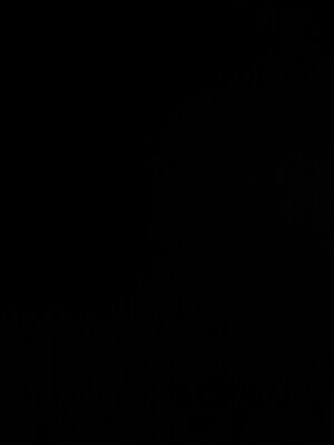  Plot For Sale in Yamuna Expressway Authority Flat, Sector 24 Yamuna Expressway