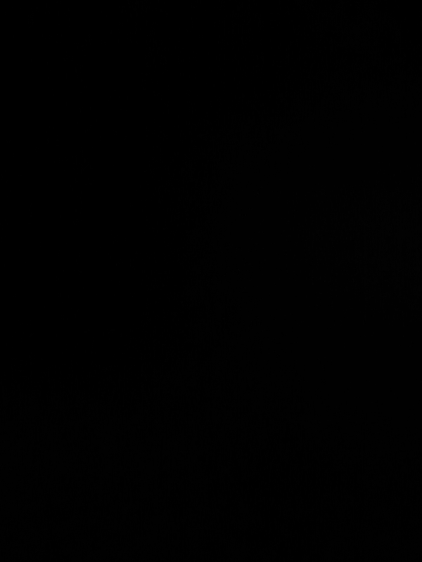 Plot For Sale in Yamuna Expressway Authority Flat