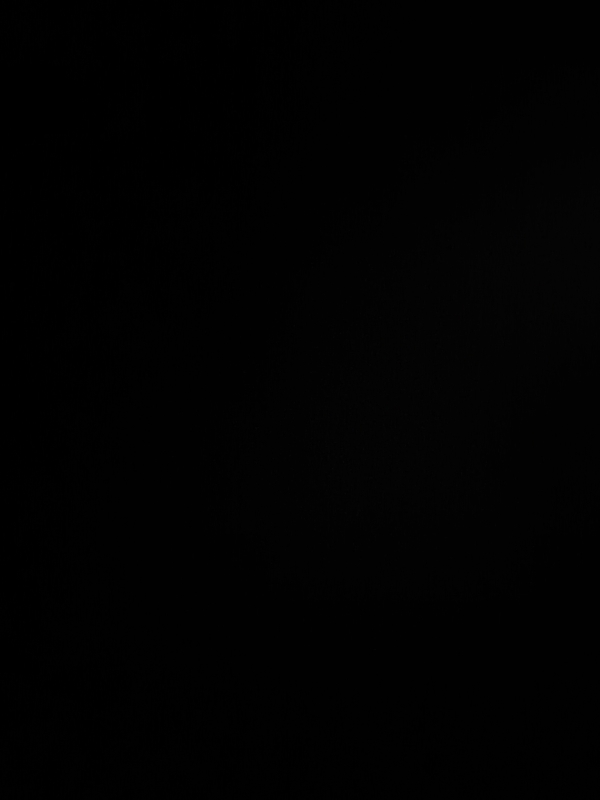 Plot For Sale in Yamuna Expressway Authority Flat