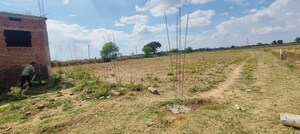  Plot For Sale in Sadikpur