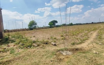 Plot For Sale in Sadikpur