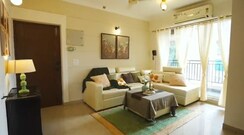 3 BHK Apartment For Sale in Exotica Dreamville
