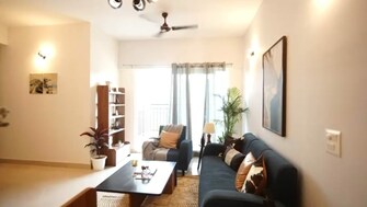 3 BHK 933 Sq.Ft. Apartment in Ace Divino