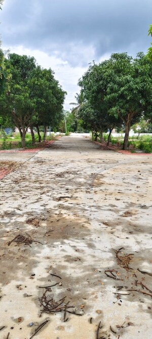 Plot Area in  Plot at Ramohalli – for Sale