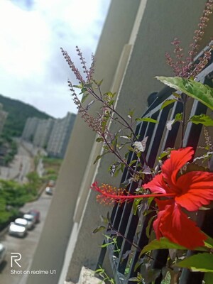 Balcony in 2 BHK Apartment at Xrbia Xrbia Hinjewadi, Hinjewadi – for Rent