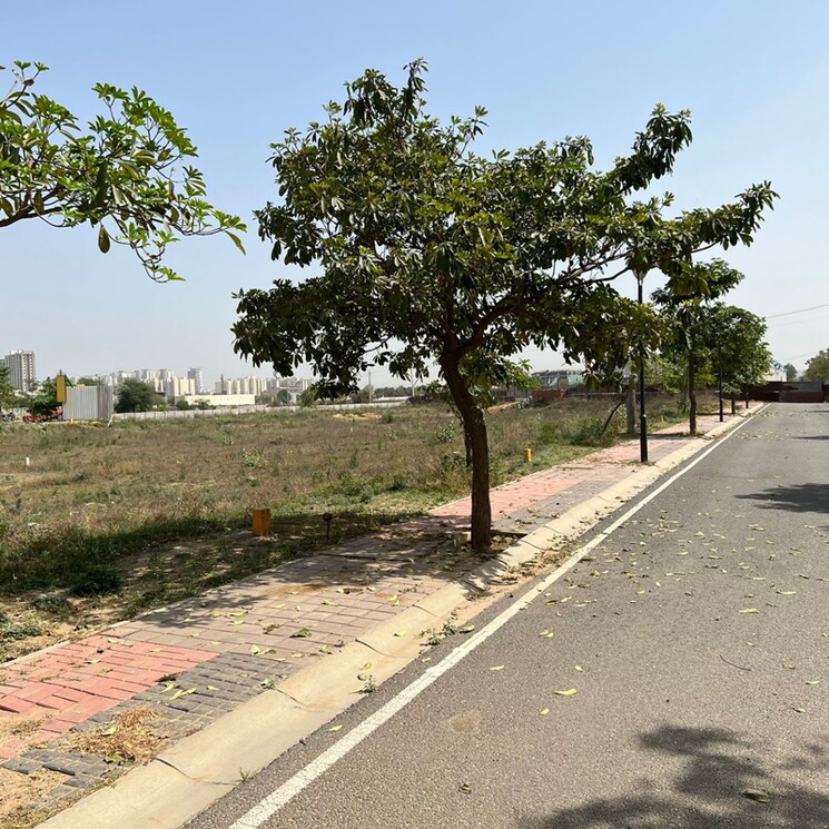 undefined, sbtl-gateway-95  160 Sq.Yd. Plot In Dhorka Gurgaon 9240221