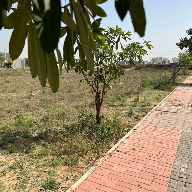 undefined, jms-the-nation  179 Sq.Yd. Plot In Sector 95 Gurgaon 9240269