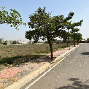 Plot Area in  Plot at JMS The Nation, Sector 95 – for Sale