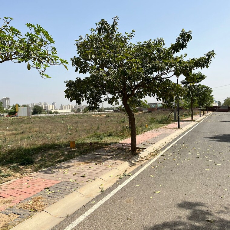 undefined, jms-the-nation  179 Sq.Yd. Plot In Sector 95 Gurgaon 9240269