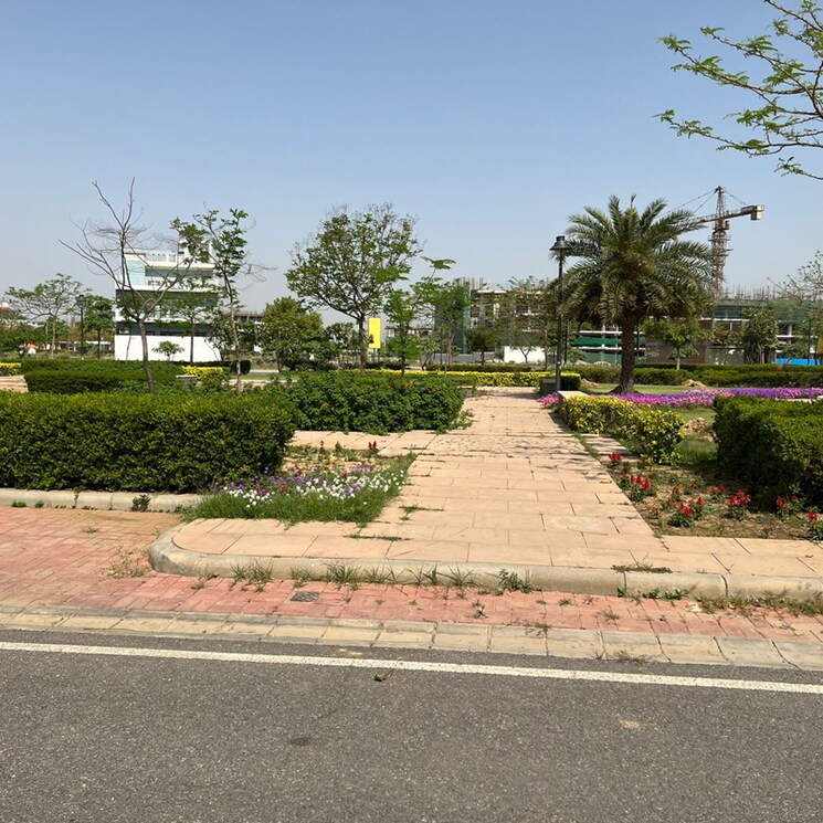 undefined, jms-the-nation  179 Sq.Yd. Plot In Sector 95 Gurgaon 9240273