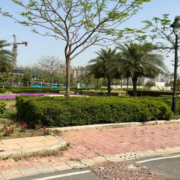 Plot Area in  Plot at JMS The Nation, Sector 95 – for Sale