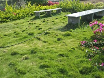 Plot – Garden View at Soukya Road - for Sale